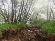 13 La nebbia sembra diradarsi